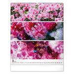 Nástenný kalendár 2026 Paleta