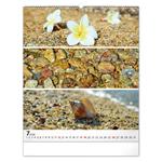 Nástenný kalendár 2026 Paleta