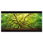 Nástenný kalendár 2026 - Panoramaphoto