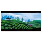 Nástenný kalendár 2026 - Panoramaphoto