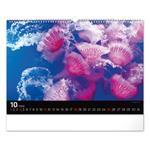 Nástenný kalendár 2026 Podmorský svet