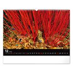 Nástenný kalendár 2026 Podmorský svet