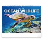 Nástenný kalendár 2026 Podmorský svet