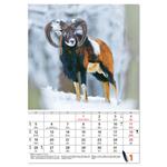 Nástenný kalendár 2026 - Poľovnícky
