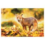 Nástenný kalendár 2026 - Poľovnícky