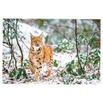 Nástenný kalendár 2026 - Poľovnícky