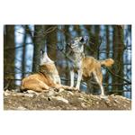 Nástenný kalendár 2026 - Poľovnícky