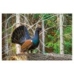 Nástenný kalendár 2026 - Poľovnícky