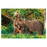 Nástenný kalendár 2026 - Poľovnícky