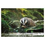 Nástenný kalendár 2026 - Poľovnícky