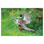 Nástenný kalendár 2026 - Poľovnícky