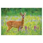 Nástenný kalendár 2026 - Poľovnícky