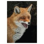 Nástenný kalendár 2026 Poľovnícky kalendár