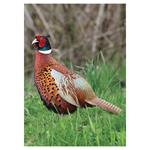 Nástenný kalendár 2026 Poľovnícky kalendár