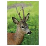 Nástenný kalendár 2026 Poľovnícky kalendár