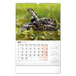 Nástenný kalendár 2026 Poľovnícky SK