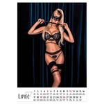 Nástenný kalendár 2026 poľský Erotic