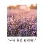 Nástenný kalendár 2026 poľský Kvety