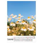 Nástenný kalendár 2026 poľský Kvety