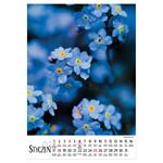 Nástenný kalendár 2026 poľský Kvety