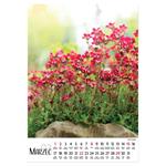 Nástenný kalendár 2026 poľský Kvety