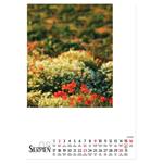 Nástenný kalendár 2026 poľský Kvety