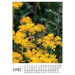 Nástenný kalendár 2026 poľský Kvety