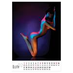 Nástenný kalendár 2026 poľský Sensual