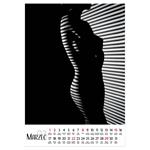 Nástenný kalendár 2026 poľský Sensual