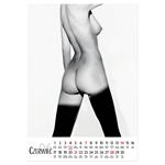 Nástenný kalendár 2026 poľský Sensual