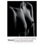 Nástenný kalendár 2026 poľský Sensual