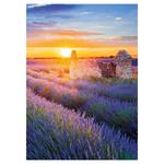 Nástenný kalendár 2026 Provence