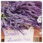 Nástenný kalendár 2026 Provence