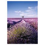 Nástenný kalendár 2026 Provence