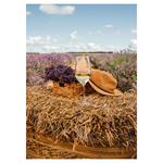 Nástenný kalendár 2026 Provence