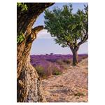 Nástenný kalendár 2026 Provence