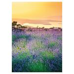 Nástenný kalendár 2026 Provence