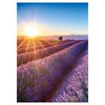 Nástenný kalendár 2026 Provence