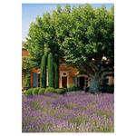 Nástenný kalendár 2026 Provence