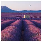 Nástenný kalendár 2026 Provence