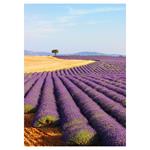 Nástenný kalendár 2026 Provence