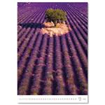 Nástenný kalendár 2026 - Provence