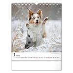 Nástenný kalendár 2026 Psy