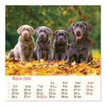 Nástenný kalendár 2026 - Psy