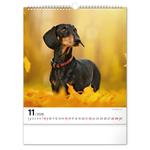 Nástenný kalendár 2026 Psy