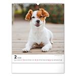 Nástenný kalendár 2026 Psy