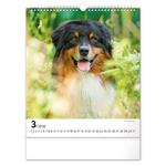 Nástenný kalendár 2026 Psy