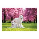 Nástenný kalendár 2026 - Psy