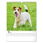 Nástenný kalendár 2026 Psy