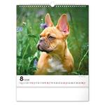 Nástenný kalendár 2026 Psy